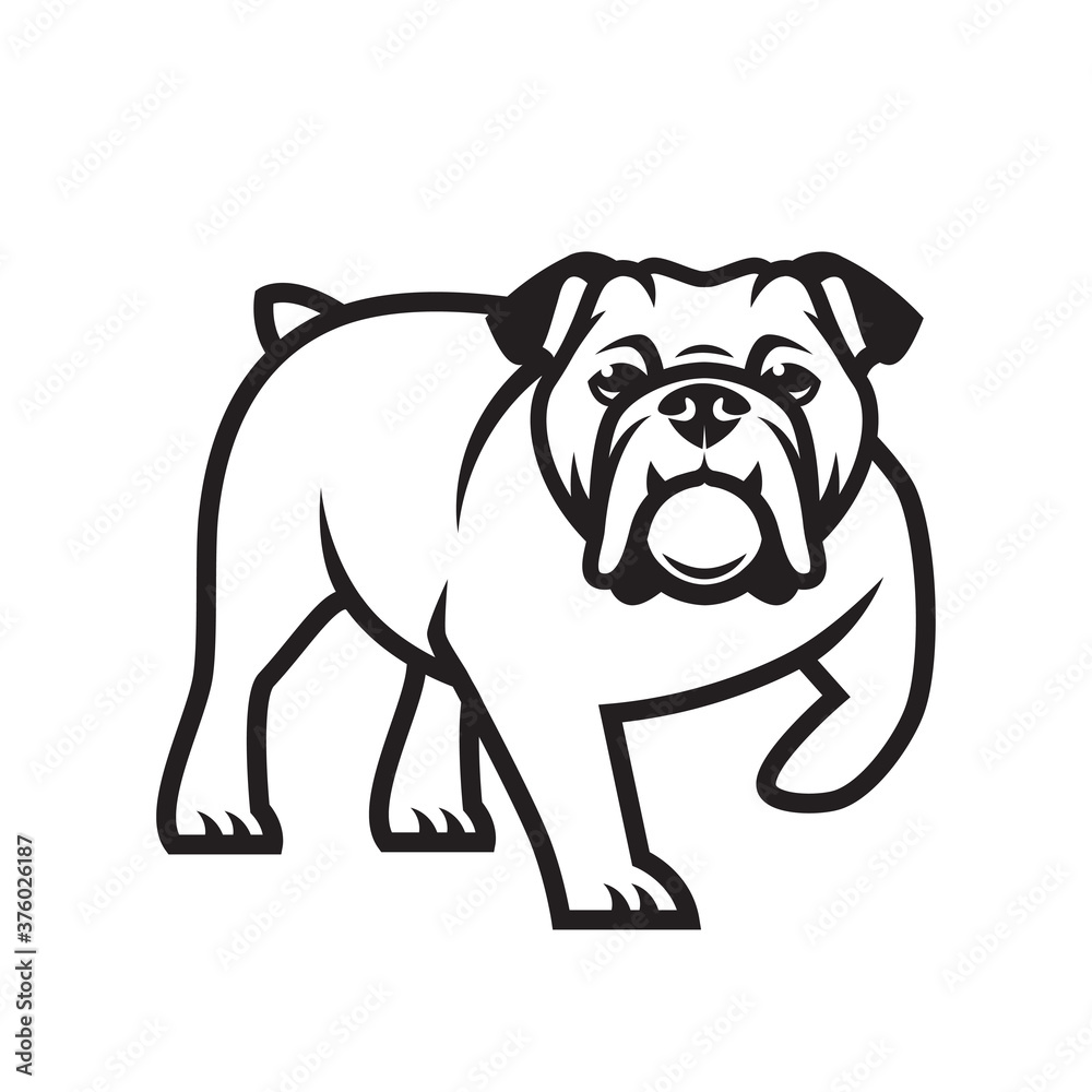 English bulldog - isolated outlined vector illustration
English bulldog - isolated outlined vector illustration