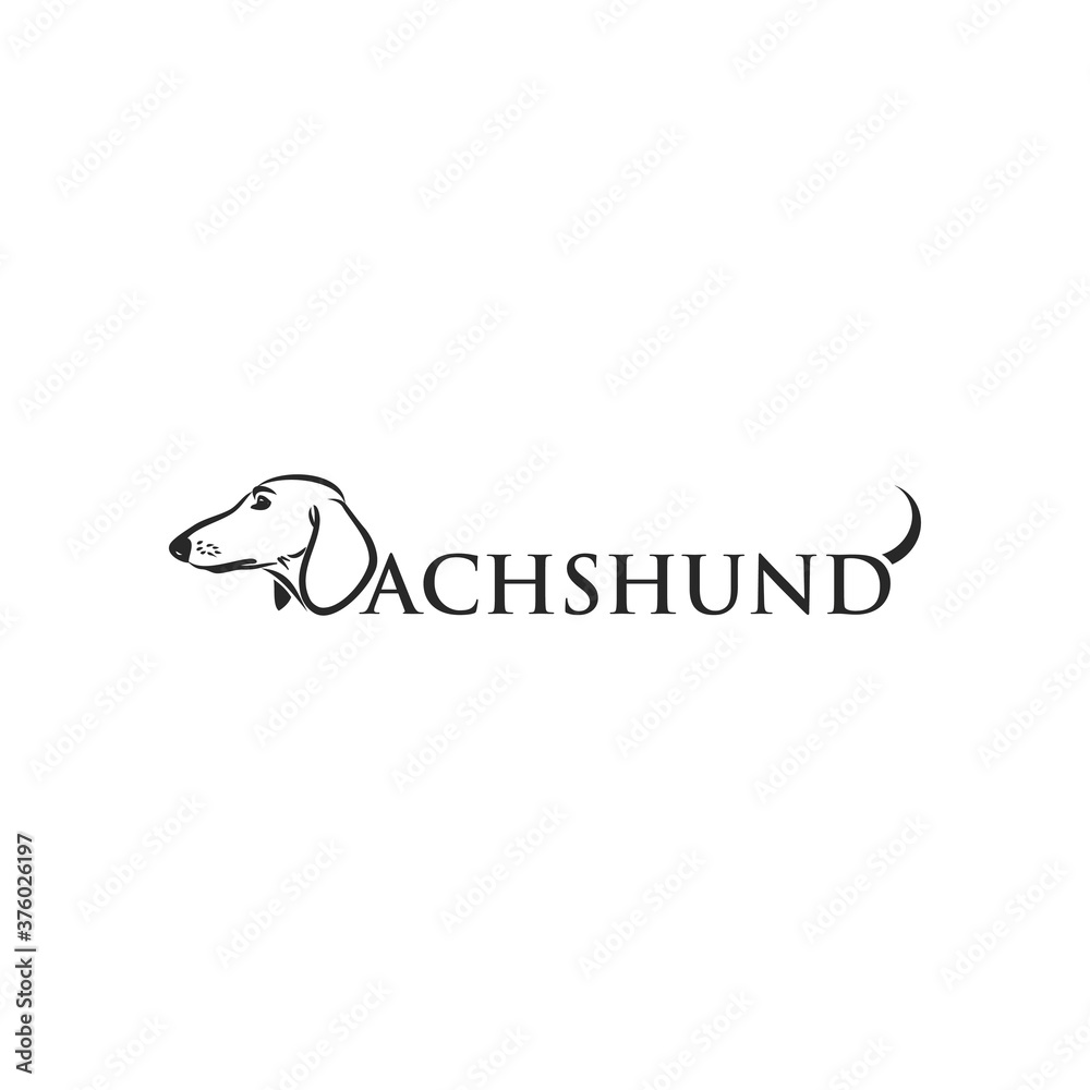 Dachshund dog - isolated vector illustration
