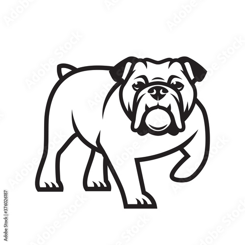 English bulldog - isolated outlined vector illustration
