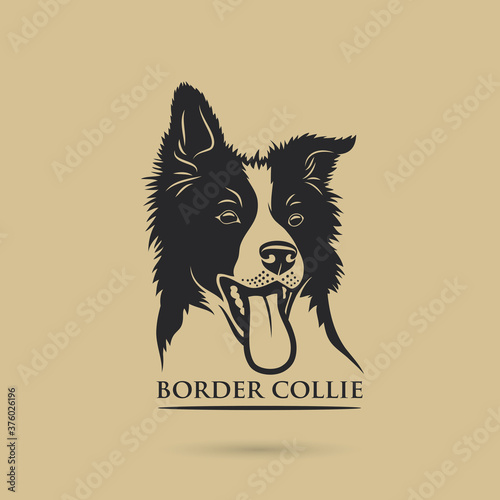 Fotomurale Border Collie dog - isolated vector illustration
