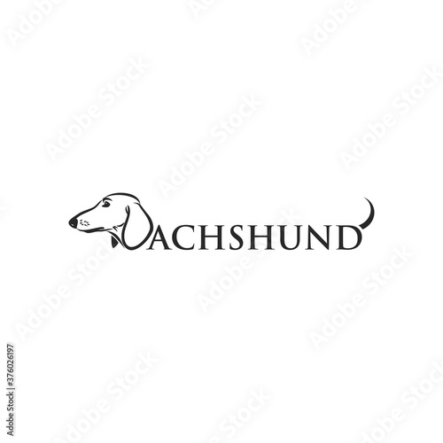 Dachshund dog - isolated vector illustration

