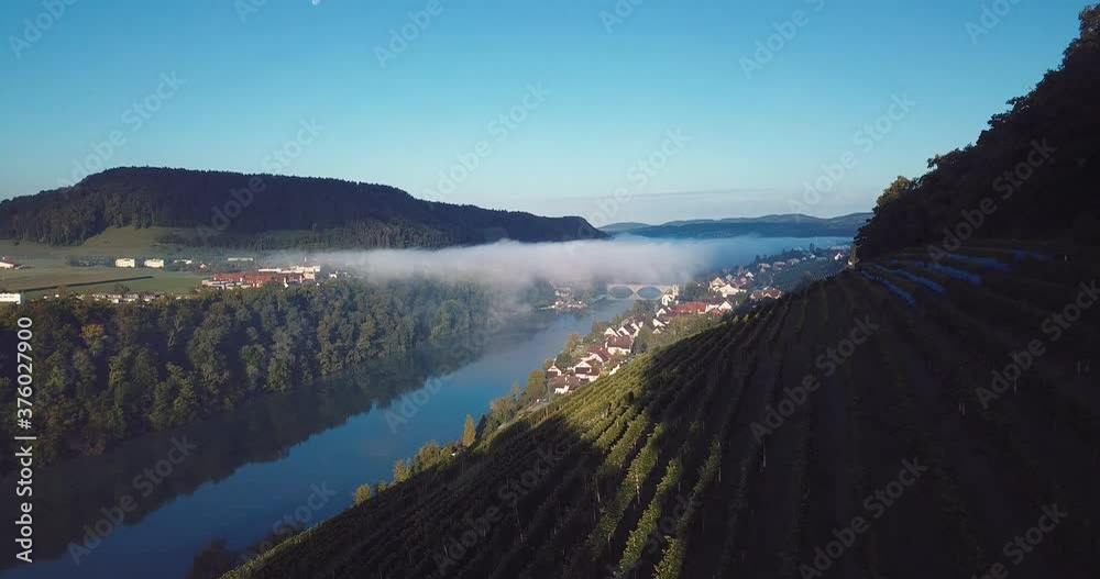 le Rhin et la colline avec son vignoble - Eglisau