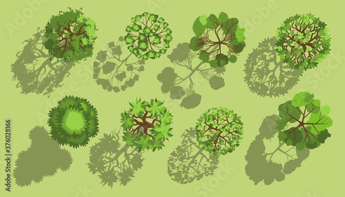 Trees with a realistic shadow. Top view. Different plants and trees vector set for architectural or landscape design. (View from above) Nature green spaces.
