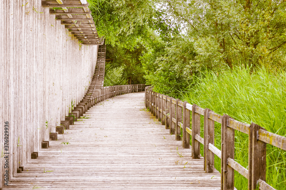 Straight surreal wood road in a park with a green meadow, in a sunny day, unusual special effect Straight surreal wood road in a park with a green meadow, in a sunny day, unusual special effect