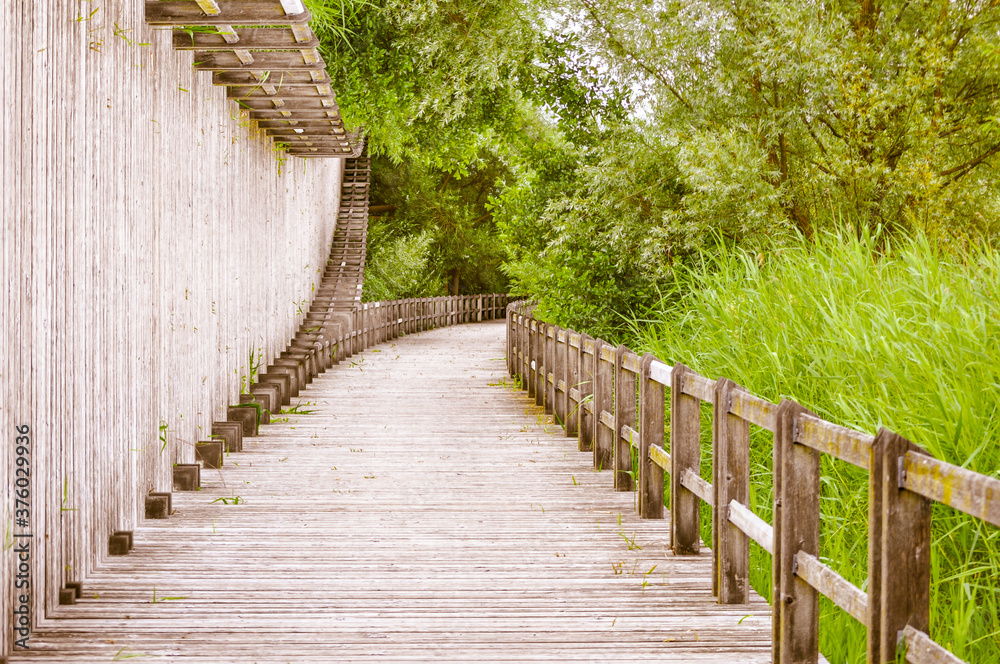 Straight surreal wood road in a park with a green meadow, in a sunny day, unusual special effect