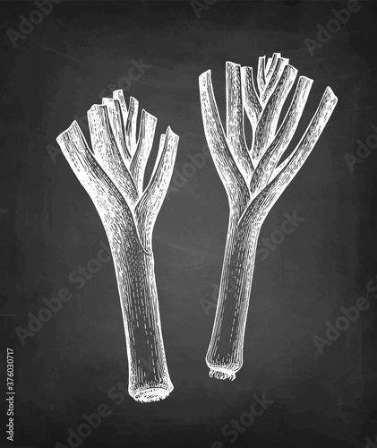 Chalk sketch of leek.