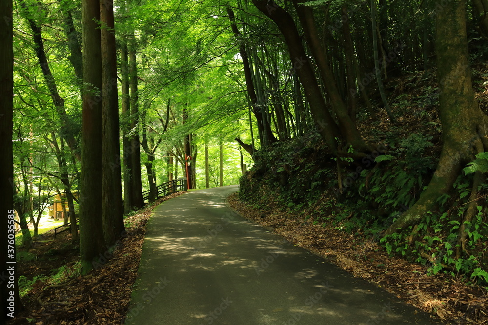 Fototapeta premium 銀山地区 石見銀山 島根