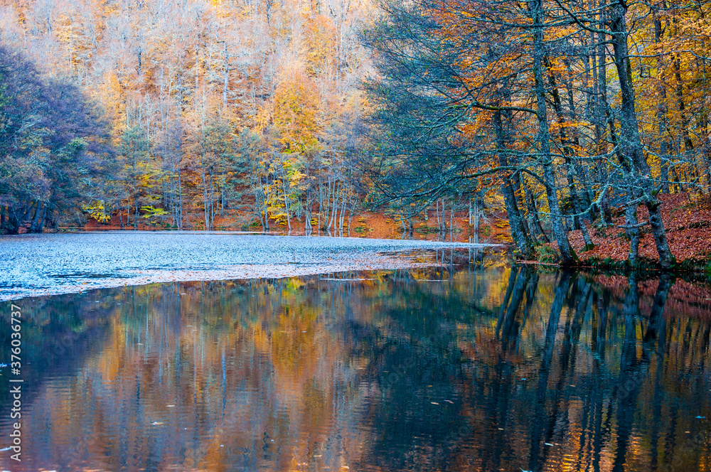 Obraz premium Yedigoller or Seven Lakes National Park in Turkey