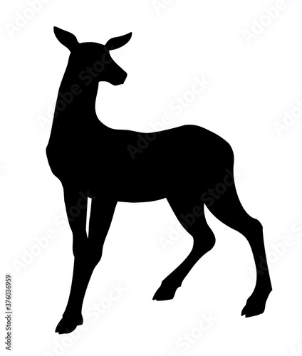 Beautiful female deer. Vector drawing