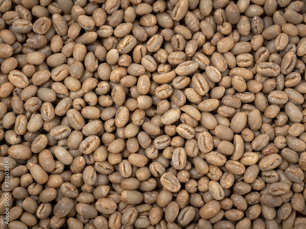 raw not roasted coffee beans from africa raw not roasted coffee beans from africa