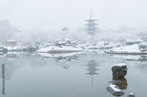 Wuhan East lake scenic spot snow scene in winter