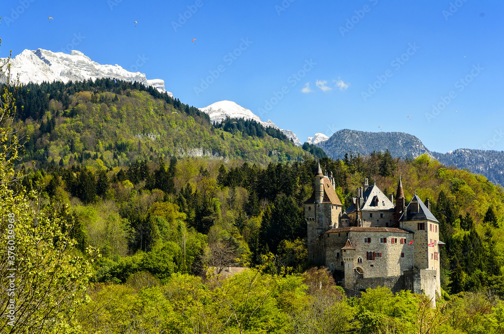 View of the Castle of Menthon-Saint-Bernard (Château de Menthon-Saint-Bernard) surrounding the forest and the Alps. Switzerland