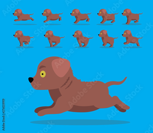 Animal Animation Sequence Dog Chesapeake Bay Retriever Cartoon Vector