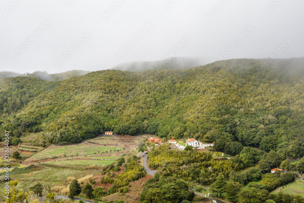 Fototapeta premium forest and hills. Green spring nature flourishing towards mountain top
