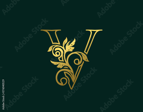 Gold V Luxury Logo Icon, Classy Letter Logo Design. Luxury Silver calligraphic alphabet arts logo.