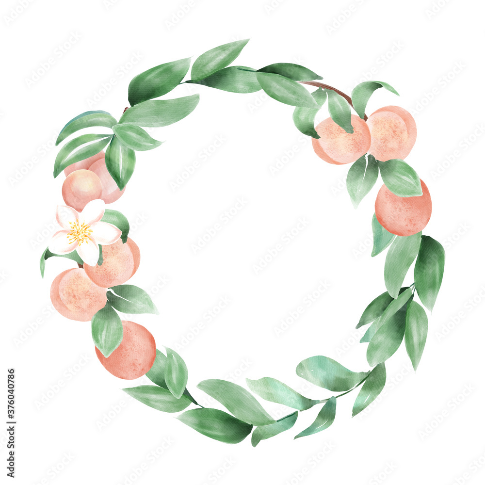 Peach fruit watercolor wreath with green leaves ans flowers. Botanical illustration