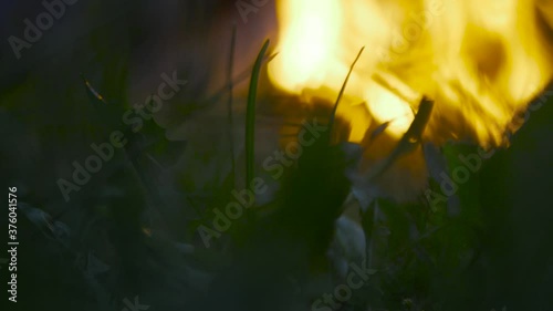 Bonfire in field close up photo