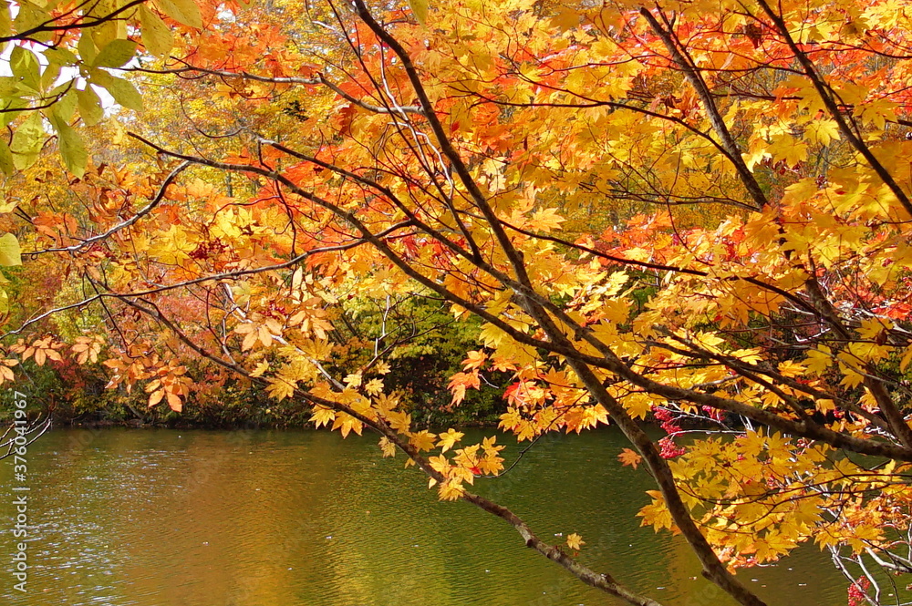 Autumn landscape. Autumn is a wonderful time of the year, with beautiful colors and a peaceful atmosphere around, Japan Autumn landscape. Autumn is a wonderful time of the year, with beautiful colors and a peaceful atmosphere around, Japan