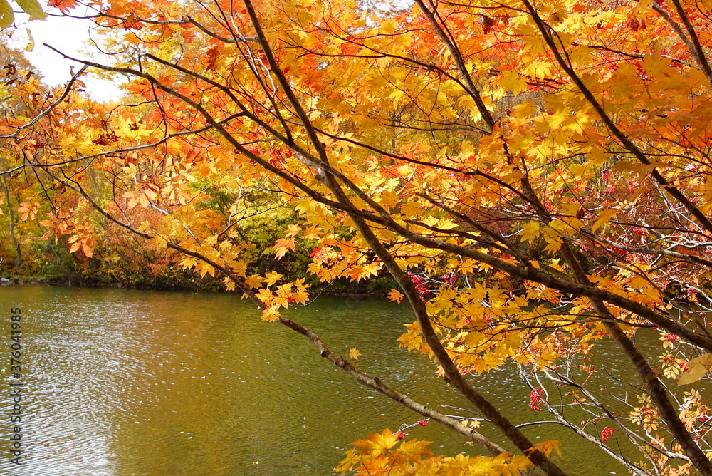 Autumn landscape. Autumn is a wonderful time of the year, with beautiful colors and a peaceful atmosphere around, Japan