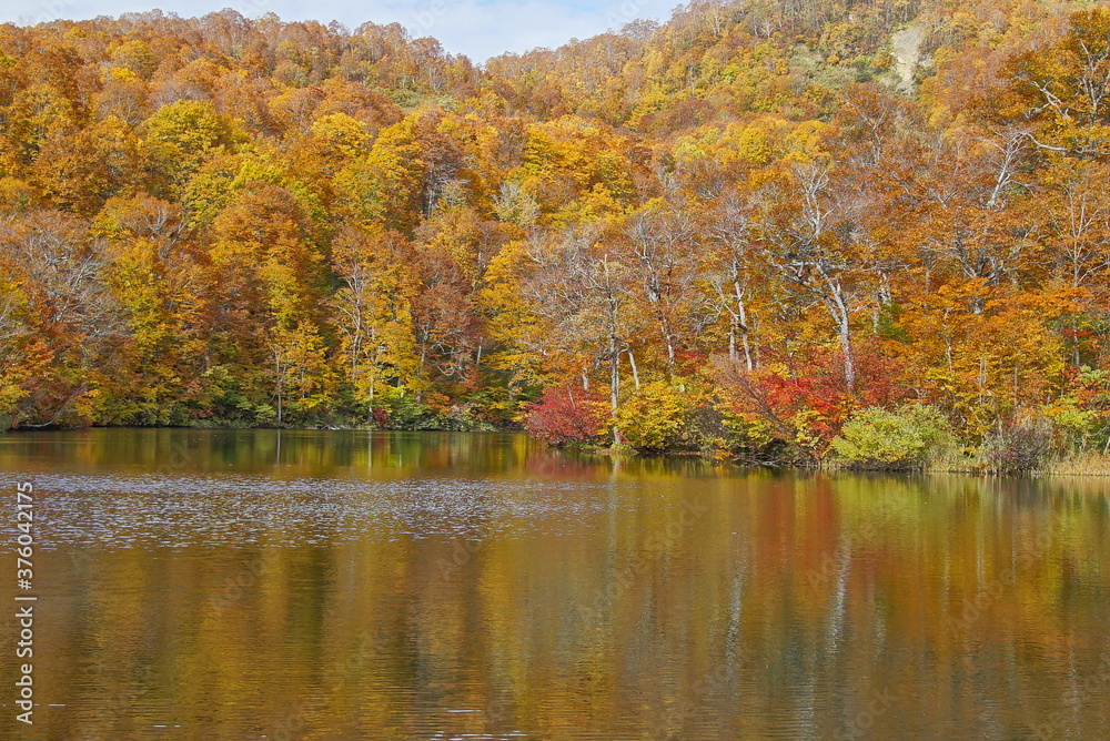 Autumn landscape. Autumn is a wonderful time of the year, with beautiful colors and a peaceful atmosphere around, Japan