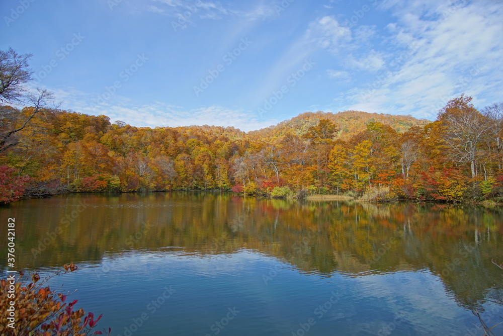 Autumn landscape. Autumn is a wonderful time of the year, with beautiful colors and a peaceful atmosphere around, Japan