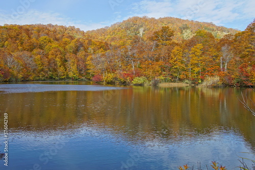 Autumn landscape. Autumn is a wonderful time of the year, with beautiful colors and a peaceful atmosphere around, Japan © Hirotsugu