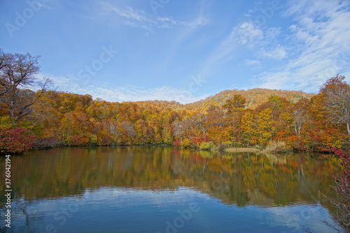 Autumn landscape. Autumn is a wonderful time of the year  with beautiful colors and a peaceful atmosphere around  Japan