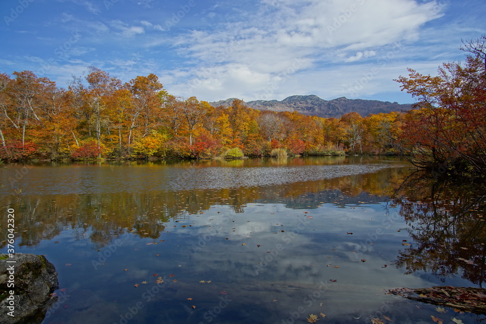 Autumn landscape. Autumn is a wonderful time of the year, with beautiful colors and a peaceful atmosphere around, Japan Autumn landscape. Autumn is a wonderful time of the year, with beautiful colors and a peaceful atmosphere around, Japan