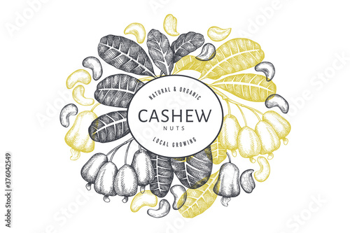Hand drawn sketch cashew design template. Organic food vector illustration on white background. Vintage nut illustration. Engraved style botanical background.
