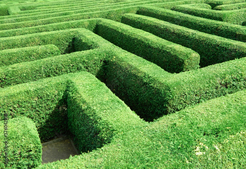 green grass maze