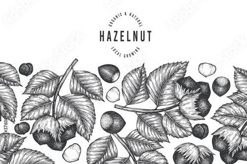Hand drawn sketch hazelnut design template. Organic food vector illustration on white background. Vintage nut illustration. Engraved style botanical background.