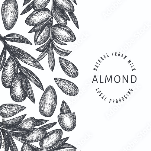 Hand drawn sketch almond design template. Organic food vector illustration. Retro nut illustration. Engraved style botanical background.