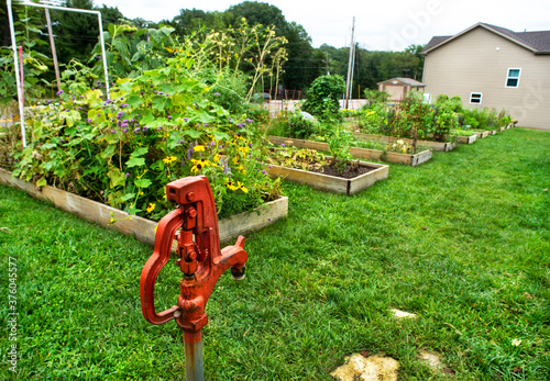 Φωτογραφία Community urban garden next to residential houses, city garden, gardening, shari