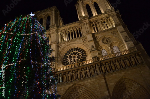 CATHEDRAL NOTRE DAME. PARIS.