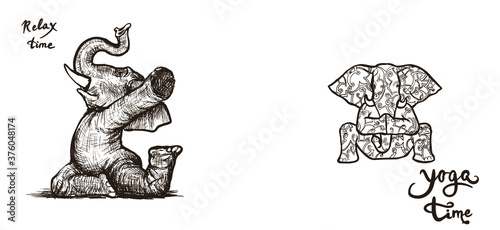 Elephant doing yoga exercises set of different poses a symbol of strength and health vector.