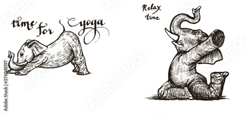 Elephant doing yoga exercises set of different poses a symbol of strength and health vector.