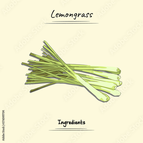 Lemongrass Illustration Used Ingredients For Cooking Some Food, Sketch & Vector Style