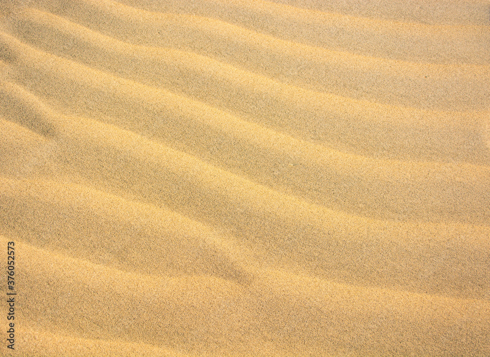 Ripples in the sand Ripples in the sand