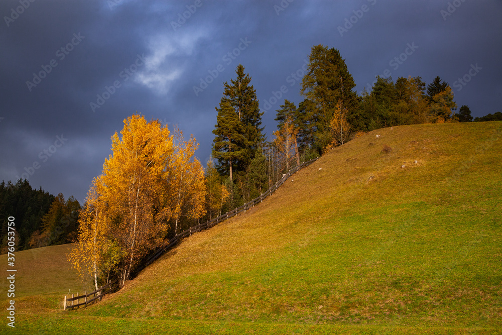 autumn landscape in Alpe de Siusi Sud Tyrol Italy autumn landscape in Alpe de Siusi Sud Tyrol Italy