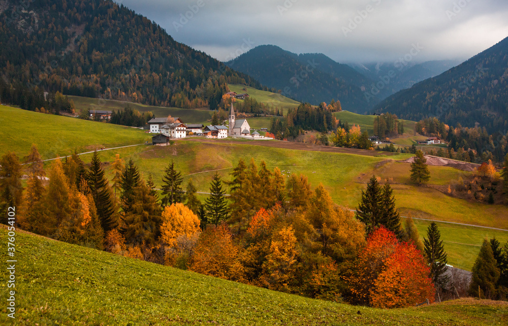 autumn landscape in Alpe de Siusi  Sud Tyrol  Italy