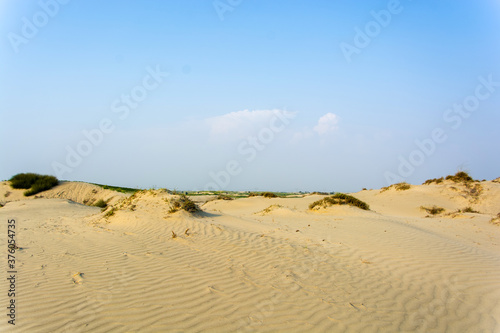 Sand dunes in the Thar desert