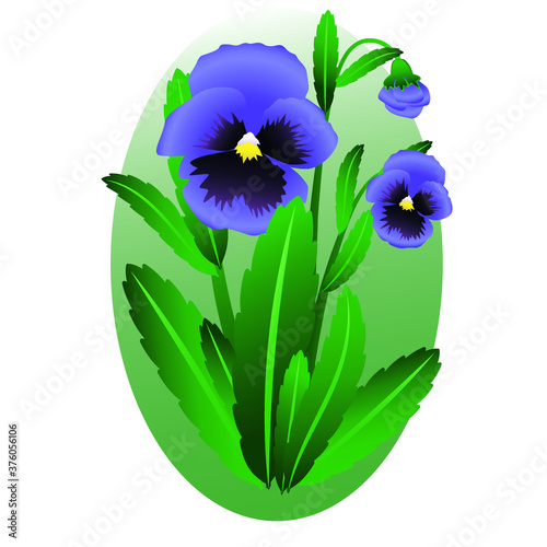 vector image of a violet flower