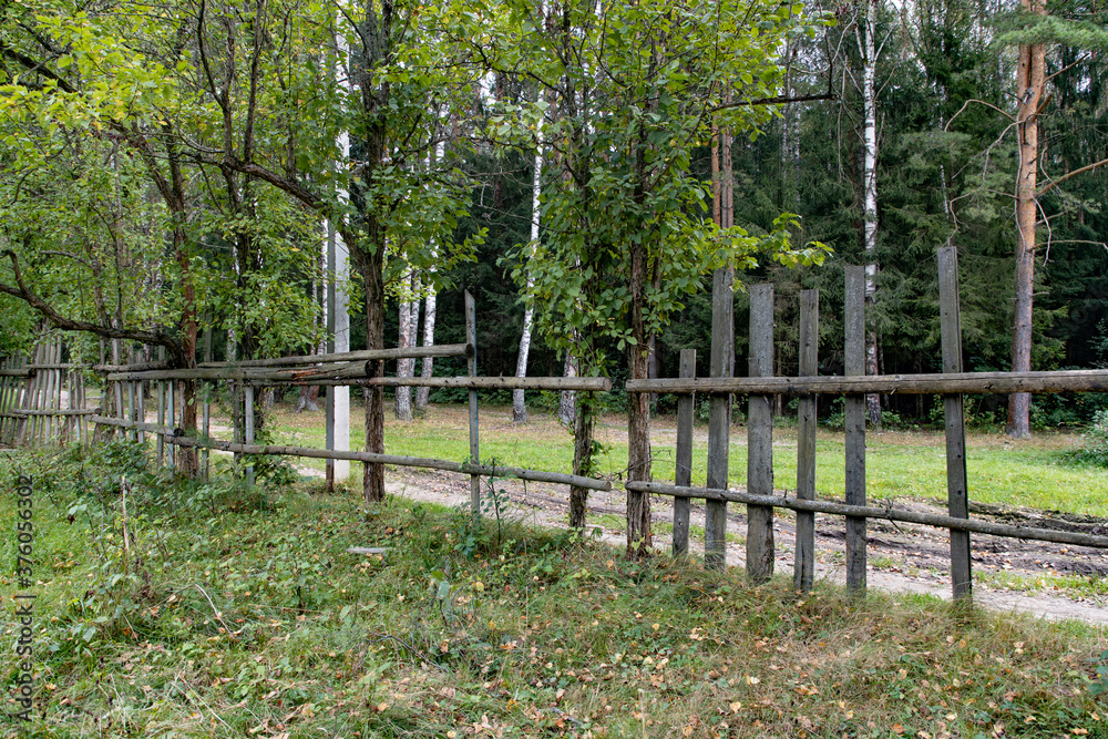 Old wooden fence and green grass Old wooden fence and green grass