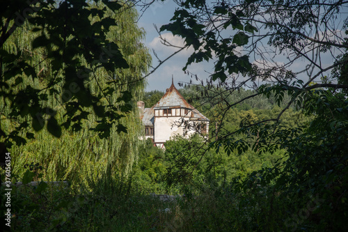 Summer forest in Kharkiv region