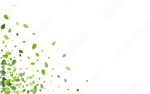 Mint Leaf Swirl Vector Wallpaper. Abstract Greens 