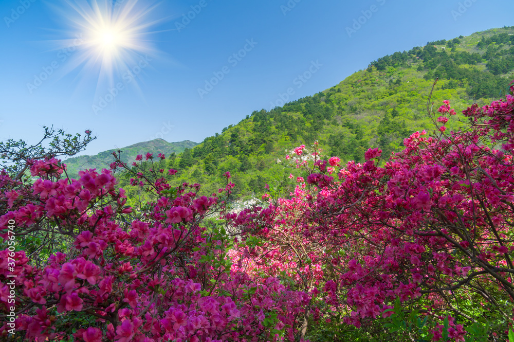 Wuhan cloud and mist mountain scenery in spring Wuhan cloud and mist mountain scenery in spring