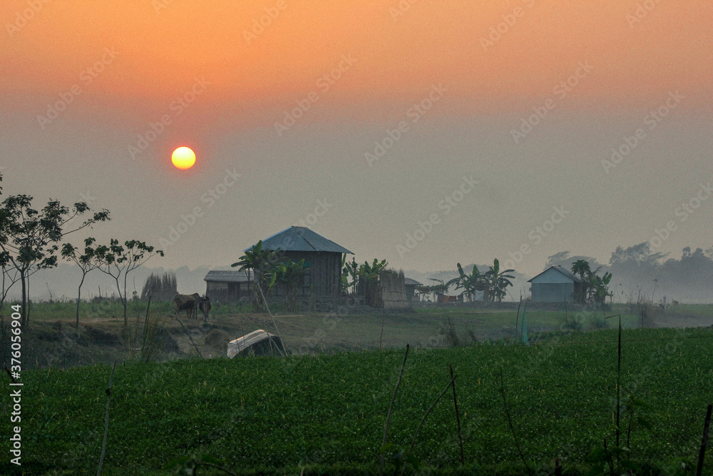 Obraz premium sunset over the field