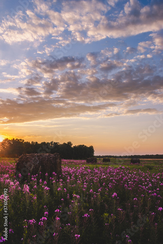 hay bales at sunset surrounded by bright wildflowers