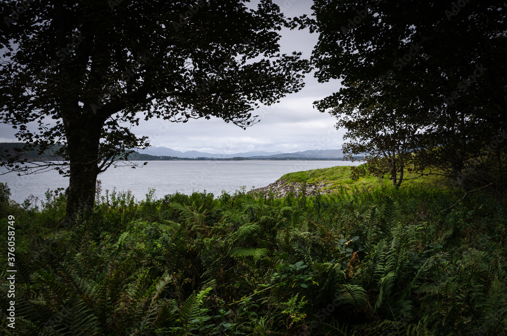 A view of the Oban bay from a forest in Argyll, Scotland