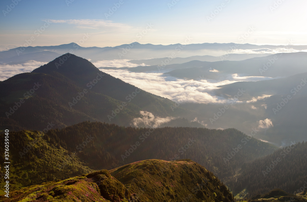 Obraz premium Morning in the Eastern Carpathians.